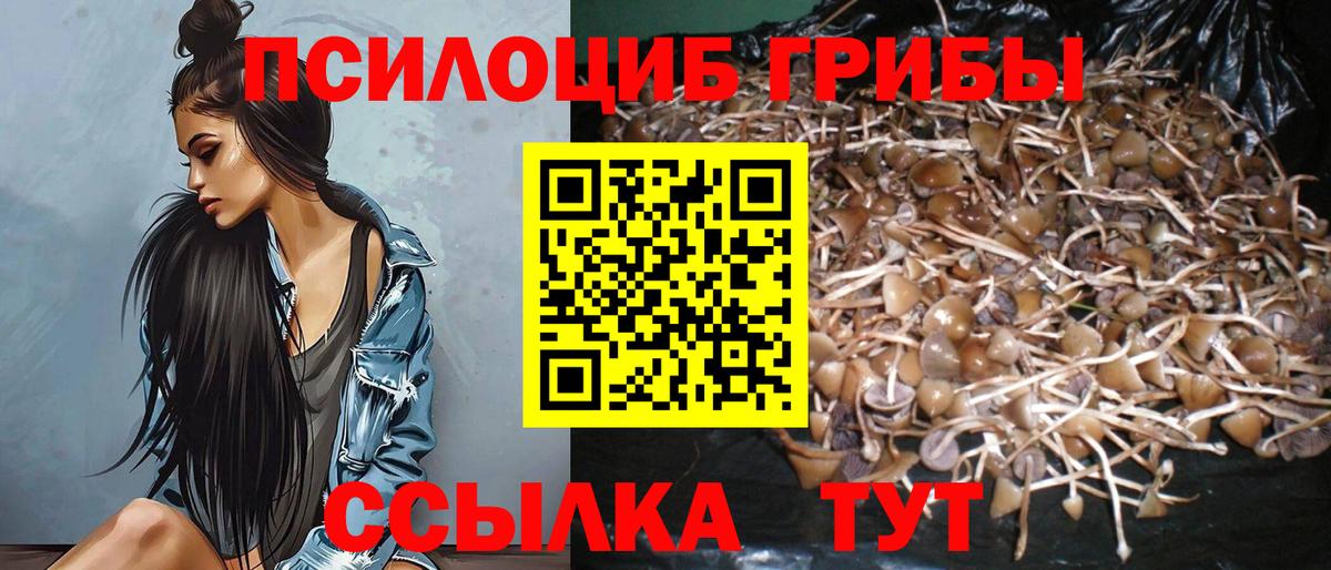 Светлоград  Галлюциногенные грибы Psilocybe  Галлюциногенные грибы мицелий  хочу   Вход с VPN 